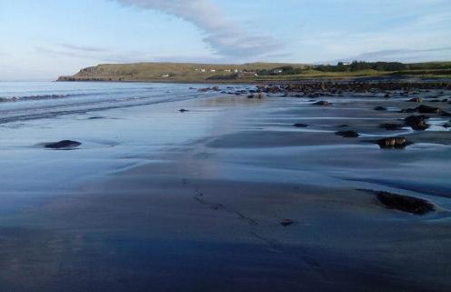 Alan's House - Foto 34