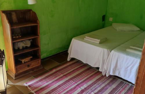 El Terral - Photo 15