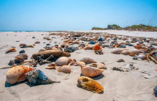 Topsail Treasure's - Oceanfront Luxury Spa Pool - Foto 56