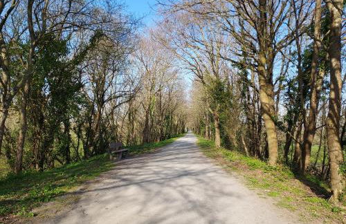 La Clé du Génie - Foto 19