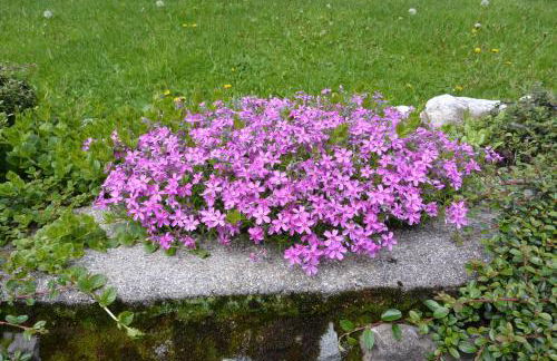 Appartamenti nonna Carmen - Photo 15