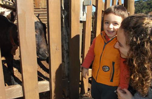 Alojamiento Rural Las Maravillas - Foto 46