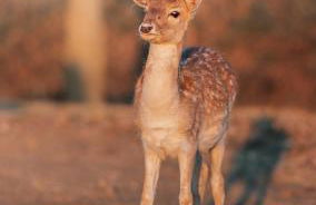 Agriturismo I Leprotti - Photo 6