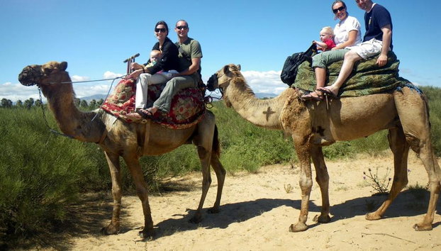 Experiencia en Paseo en Camello - Tour de Medio Día - Foto 4