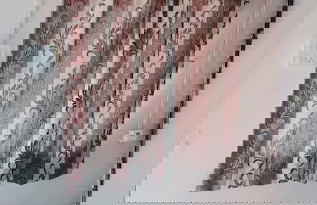 Shetty Farms - Foto 11