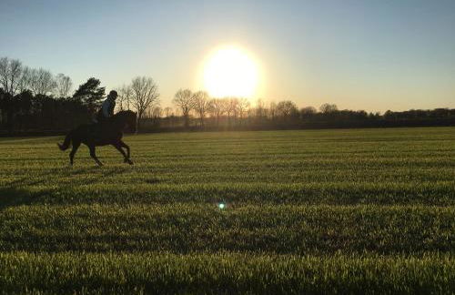 Ferienwohnung Sültemeier 1 - Foto 16