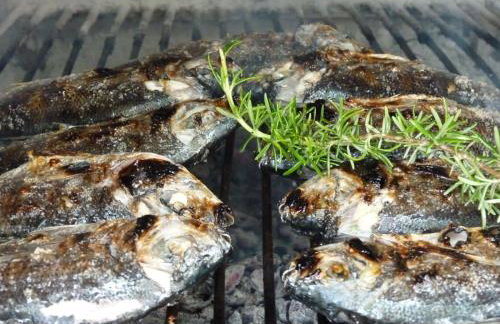 Apartment Zeljko - Photo 7