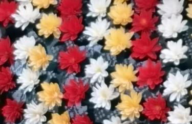 Relais I Dolci Grappoli - Foto 101