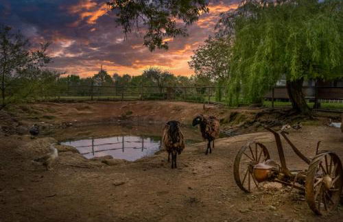 Bio Agriturismo Aia del Tufo - Foto 50