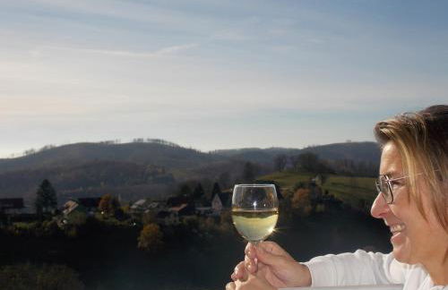 Lina's Ferienwohnungen - zwei moderne FeWos mit Sauna im Haus und fantastischem Ausblick - Foto 2