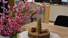 Magurskie Domki 2 - Foto 3, stove