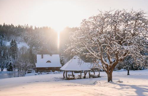 Przystanek Ropienka Leśniczówka - Foto 2