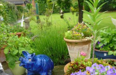 Hopewell self-catering - Foto 47