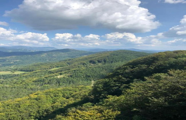 Welcoming Mobile Home in Toscana With Garden - Photo 25