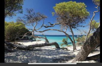 Résidence calme à 2 km de Saint-Florent - Foto 1