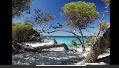 Résidence calme à 2 km de Saint-Florent - Foto 1