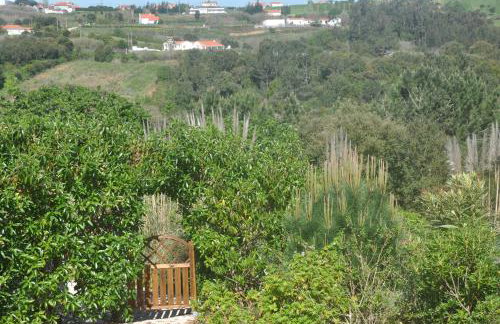 Quinta do Bom Vento - Photo 105