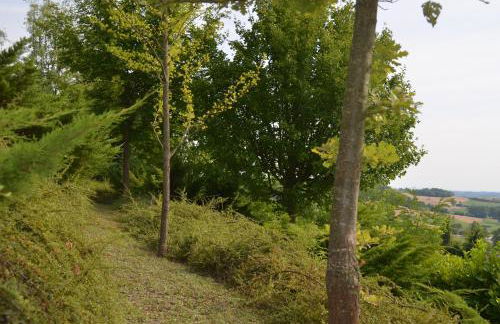 Villa Patrizia - Foto 18