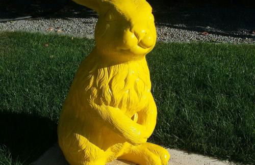 Casa Castedo do Douro - Foto 13