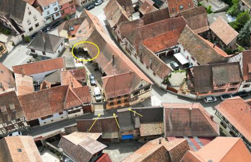 Appartement cosy sur la route des vins d'Alsace - Foto 50