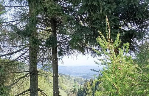 Chatka na Przełęczy - Foto 7