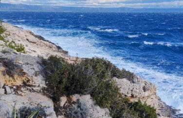 House on Punta - Photo 7