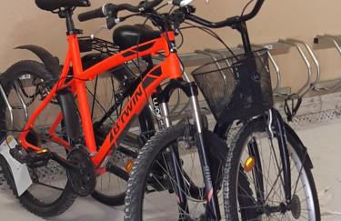 Appartement au bord de la plage et de la foret - Foto 13