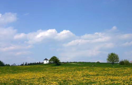 Ferienwohnung Alpenblick - Photo 12