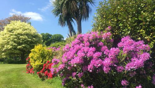 Stay on the grounds of this beautiful Manor house - Foto 1, Garden