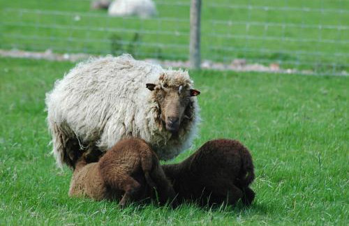 Swallows’ Barn - Photo 40
