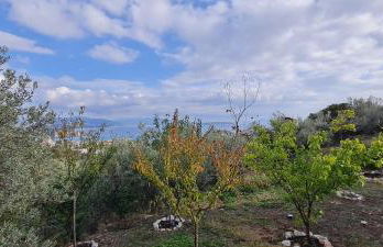 Πέτρα, Ελιά και Λεβάντα - Foto 60