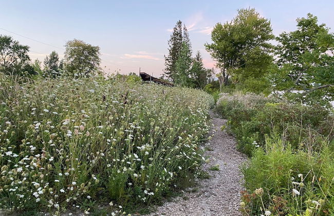 Brand New Basement Apt next to Beach & Go Train - Foto 22