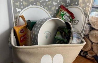 Rhedyn - Cosy Fishing Lodge Near Aberaeron - Photo 46