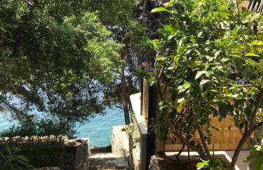 Apartments Lomea - Photo 42