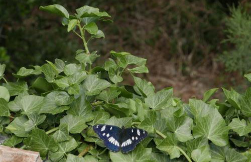 Vacation House "Pave" - Photo 26