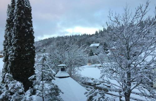 Kuckucks Hideaway - Foto 21