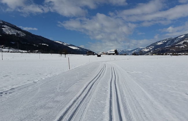 Chalet Anna Near Ski Area in Niedernsill - Foto 28
