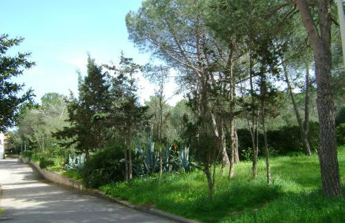 Appartamento Maraviglios Alghero - Foto 18