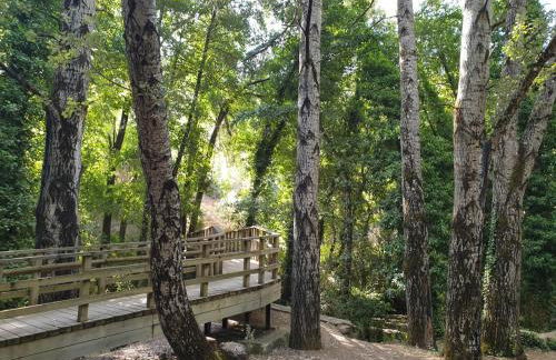 Casa Montegama - Foto 45