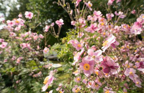 Lütte Koje - Foto 34