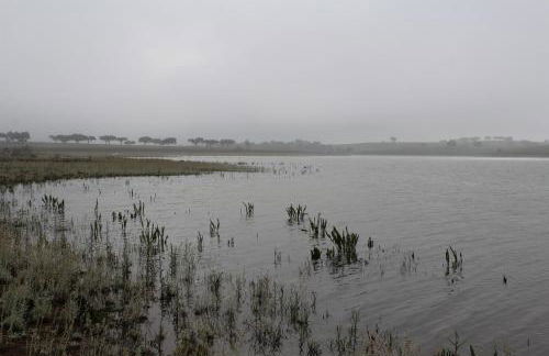 Casa do Roxo - Eco Design Country House - Foto 47