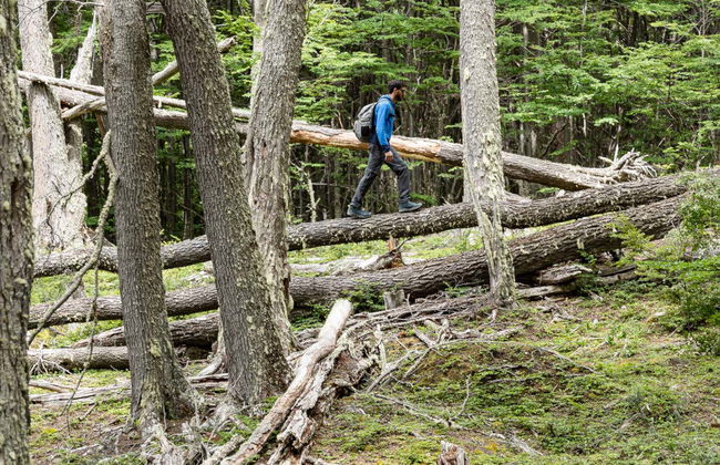 Tierra del Fuego National Park Tour - Photo 2