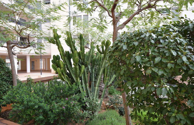 Plaza Mayor - Foto 12