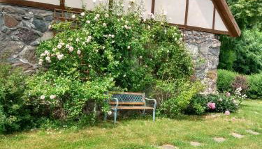 Kamienna Chata - Foto 3