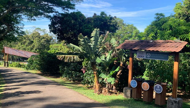 Entrada às plantações de café na Hacienda Doka