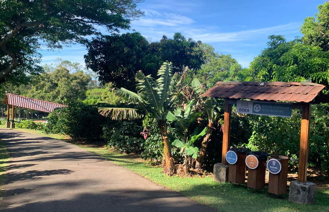 Excursão a Doka, Grecia e Sarchí - Foto 9