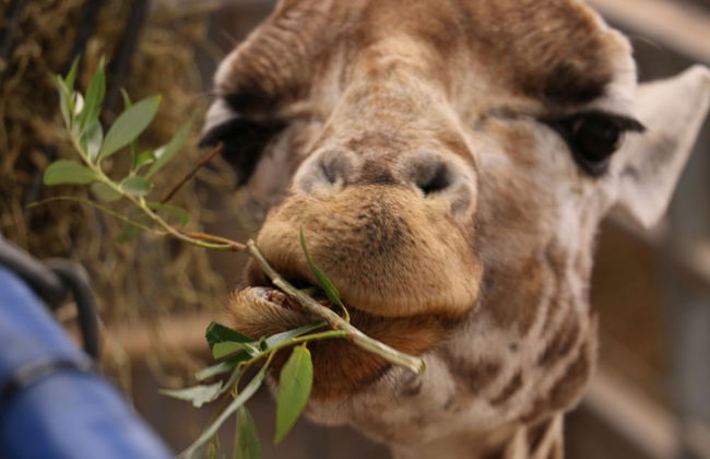 Howarth House Apartments - Foto 50