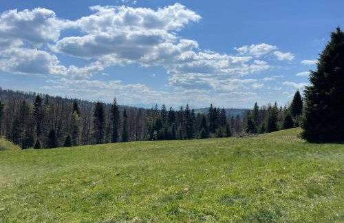 Szlak By Trafił - Photo 73