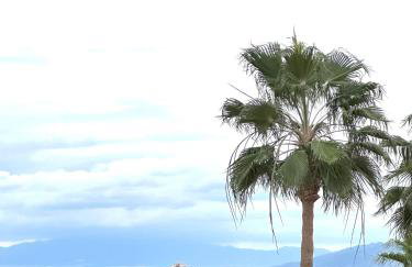 Ático De Diseño en Aguilas - Foto 7