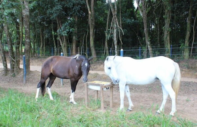 Engenho da Serra Hotel & Ecoresort - Foto 66